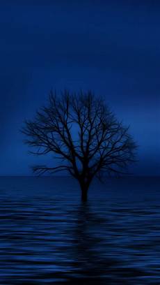 Blue Tree Wallpaper by Blue Tree Hd Wallpaper For Your Mobile Phone Blue Tree Wallpaper