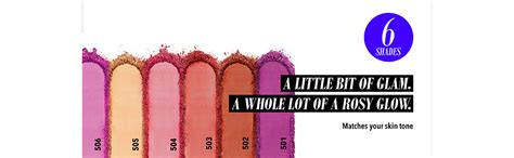 Buy Blue Heaven Shimmer Matte Blush - 501, 7gm Online at Low Prices in ...