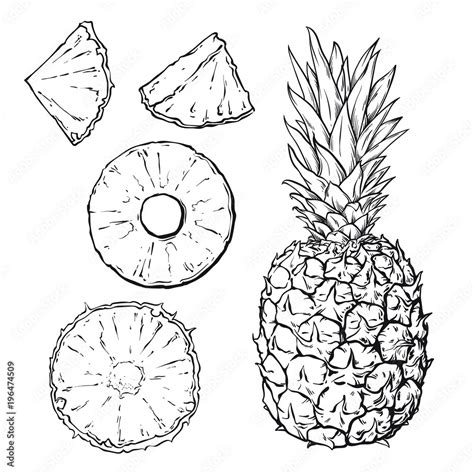 Image result for ArrayList Java Declaration