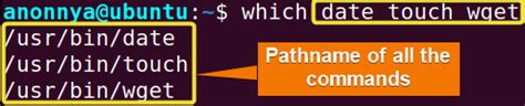 Image result for Which Linux Command