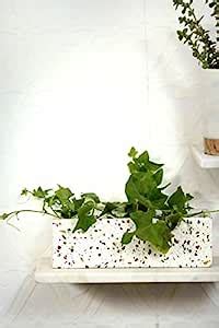 POSH N PLUSH Rectangle Terrazzo Planter Pots for Plants Home Indoor ...