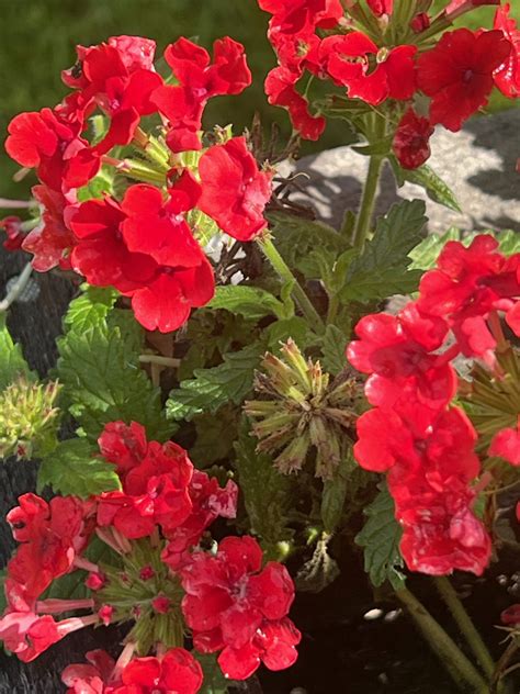 Know-It-Alls, The Hidden Scourge Of Social Media. They Remind Me Of ...