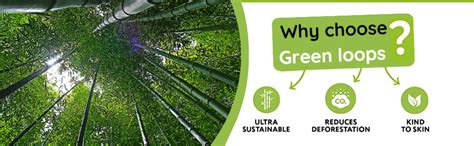 Green Loops Bamboo 3 Ply Toilet Tissue Paper Roll - Pack Of 48 - (300 ...