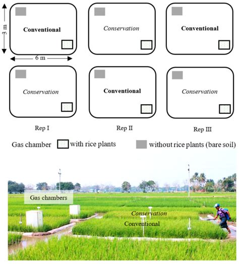 Comparison of Carbon Dioxide (CO2) Fluxes between Conventional and ...