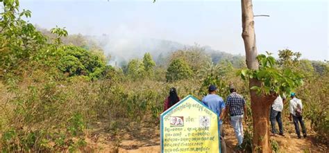 ଲୋକେ ମହୁଲ ଗୋଟେଇବା ପାଇଁ ଗଛ ତଳେ ନିଆଁ ଲଗାଉଛନ୍ତି...