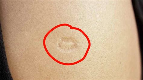 Left Mark On 的图像结果