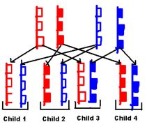 Image result for Complex Inheritance Pattern