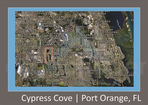 Homes for sale in Cypress Cove - Port Orange, FL