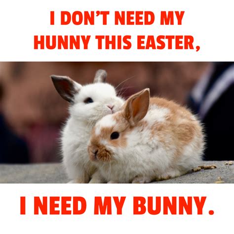 Free Easter Bunny Meme Template to Edit Online