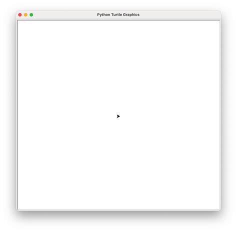 Image result for Intro to Coding with Python Turtle