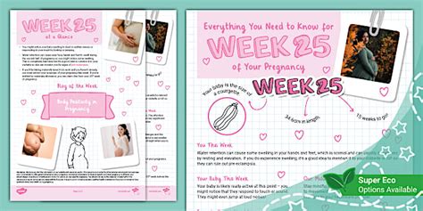 Everything You Need to Know for Week 25 of Your Pregnancy