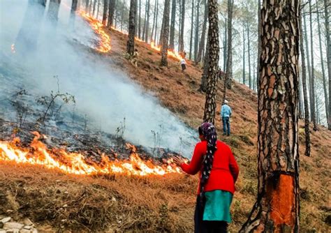 Forest fires in Uttarakhand leave five dead, burning of crop residues ...