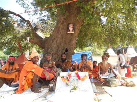 Girnar Parikrama: From Kartik Agyaras to Kartik Poornima (Dev Diwali ...