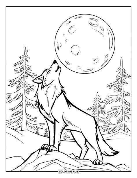 160+ Wolf Coloring Pages for Kids & Adults (Free Printable PDFs)