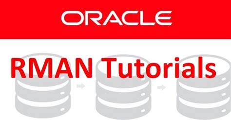 Oracle RMAN Tutorial 的图像结果