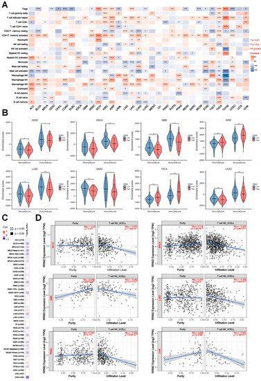 Comprehensive Landscape of RRM2 with Immune Infiltration in Pan-Cancer