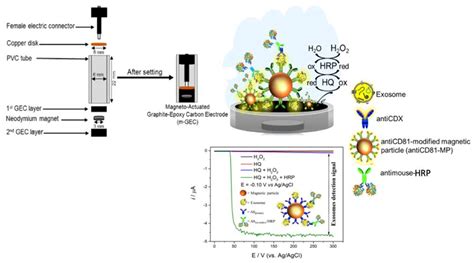 Matrix Effect in the Isolation of Breast Cancer-Derived Nanovesicles by ...