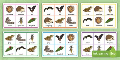 Hibernating Animals Bingo - Twinkl - KS1 (teacher made)