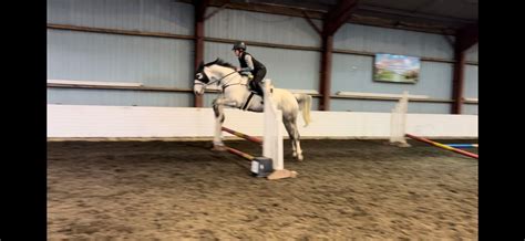 Polework and jumping lessons with BSUKCC L4 Coach - Joanne Burns Firth ...
