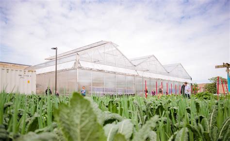 Lawndale Christian Health Center for the Farm on Ogden | The Chicago ...