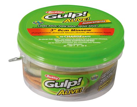 Image result for Gulp Alive