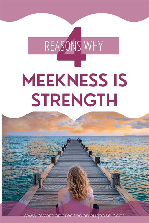 Image result for Meekness Examples