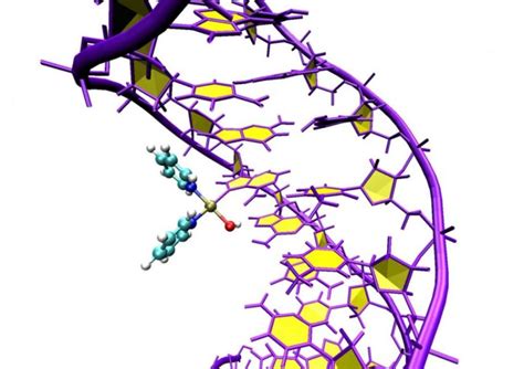 Image result for DNA Reprogramming