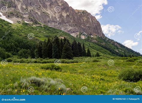Image result for T Testing Module