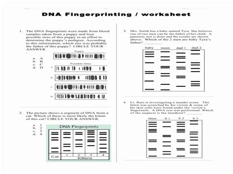 Image result for DNA Fingerprinting Lab Worksheet Printable