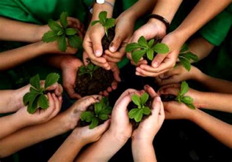 CLIMATE SAVE ENVIRONMENT EARTH ONE PLANET SUMMIT
