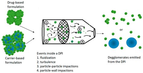 Image result for Dry Powder Inhaler Technique