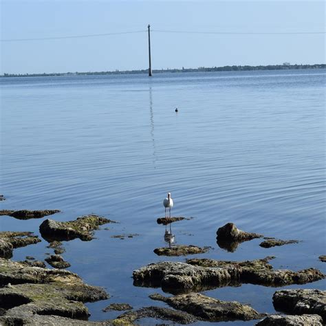 CASTAWAYS POINT PARK - All You Need to Know BEFORE You Go 2026 (with ...