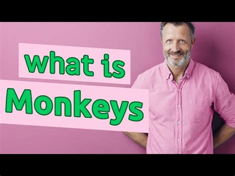 Is The Correct Plural Noun Monkeys Or Monkies
