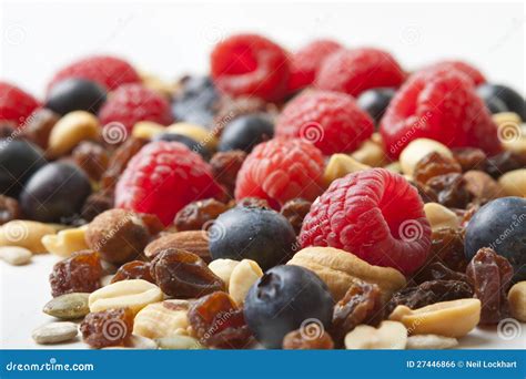 Berries and Nuts stock photo. Image of nuts, living, pecans - 27446866