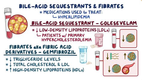 Bile-Acid Sequestrant and Fibrate Therapy - Osmosis Video Library