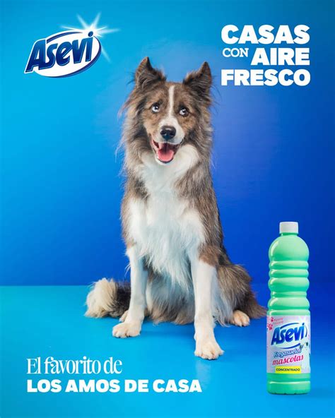 Asevi Pet Floor Cleaner