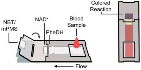 Development of a Whole Blood Paper-Based Device for Phenylalanine ...