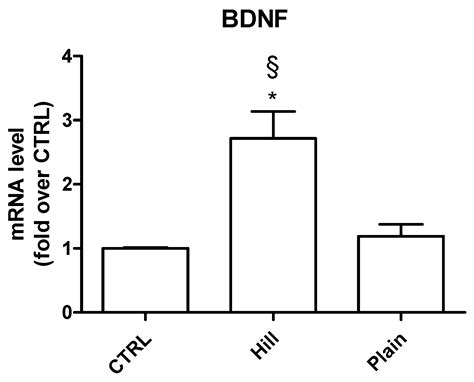 Antioxidant and Neuroprotective Activity of Extra Virgin Olive Oil ...
