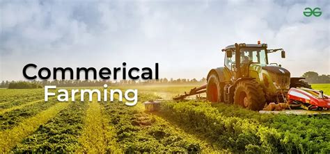 Commercial Farming 的图像结果