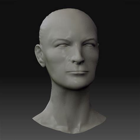Maya Human Head 的图像结果