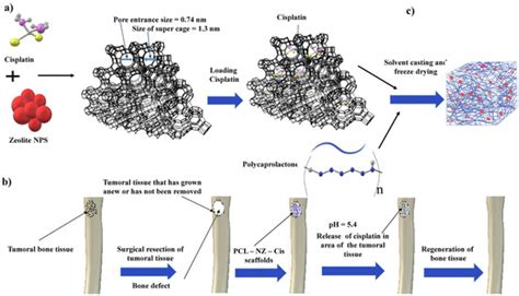Zeolites as Ingredients of Medicinal Products