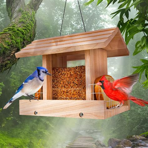 Amazon.com : Bird Feeders for Outdoors Hanging - Cardinal Bird House ...