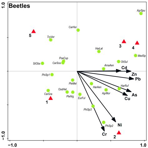 Living with Contamination: Insights into an Epigeic Macrofaunal ...