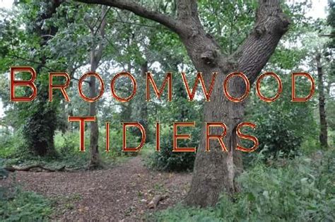 Litter Pick, Timperley Community Amateur Boxing Club, Altrincham, 11 ...