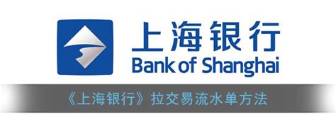 上海银行app怎么拉流水_上海银行手机银行拉交易流水单方法_3DM手游