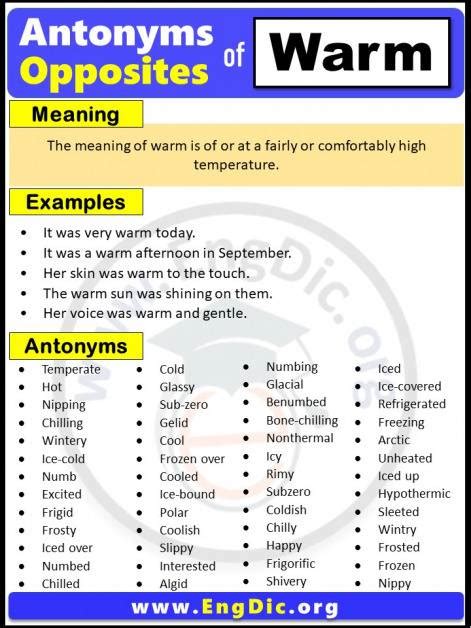 Opposite Of Random, Antonyms of Random (Example Sentences) - EngDic