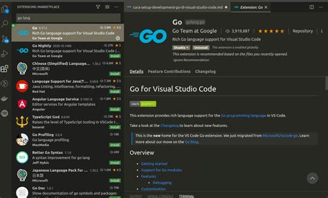 Image result for vs Code Visual Go