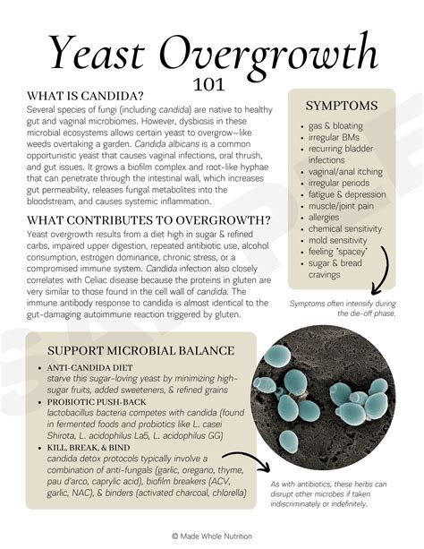 Yeast Overgrowth 101 Handout — Functional Health Research + Resources — Made Whole Nutrition