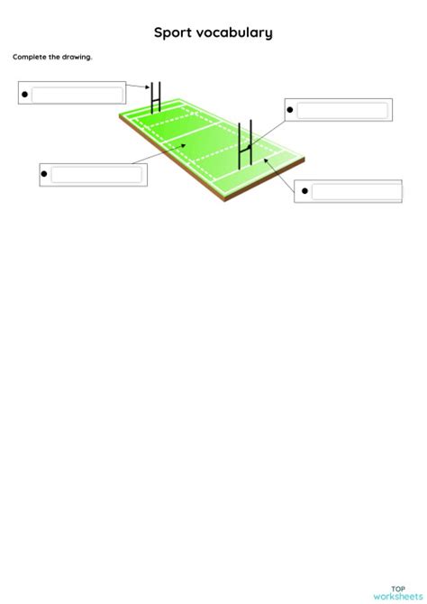 Sport Vocabulary Worrksheet 的图像结果