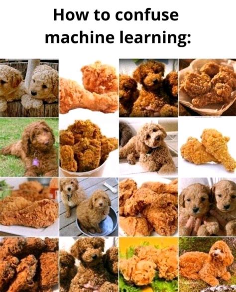 Image result for Python Data Science Meme